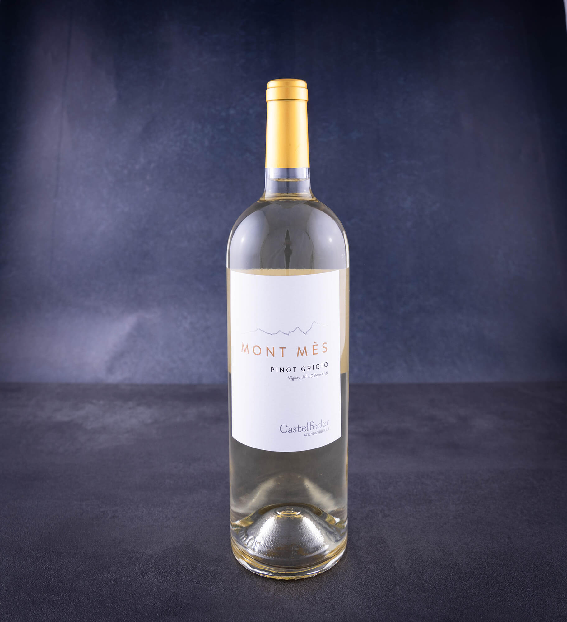 Pinot Grigio Mont Mes Vigneti d.Dol | Weißwein |  Weingut Castelfeder | Italien | 0,75l